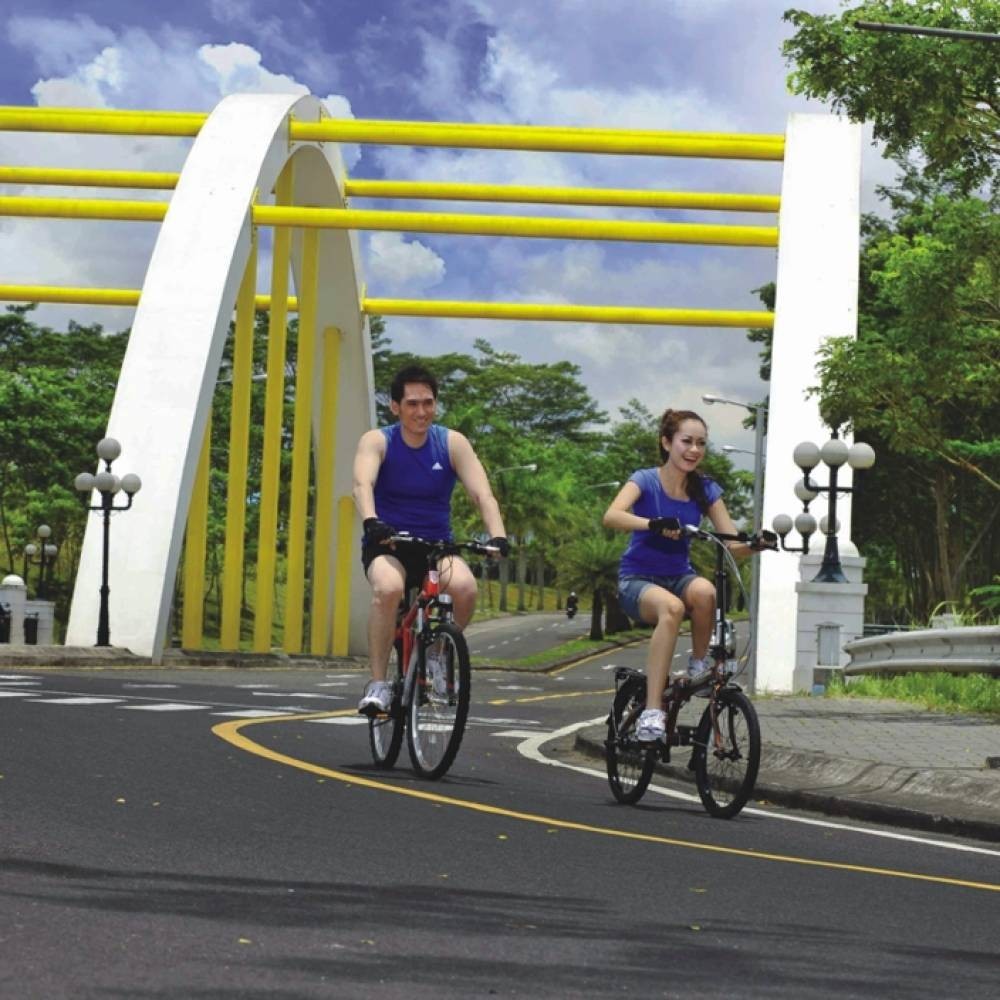 Pedestrian, Jogging Track & Bicycle Lane