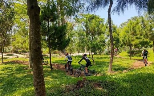 Bale Pare Bike Park